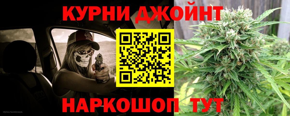 Конопля OG Kush  Вход с VPN  Бошки Шишки планчик  Дедовск 
